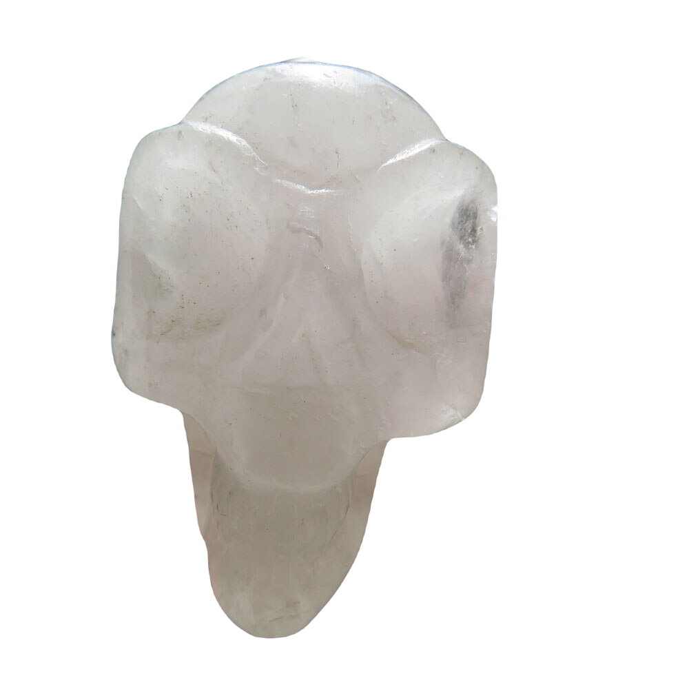 Hand Carved Crystal Elongated Skull